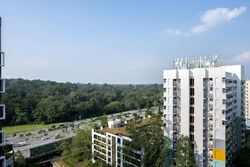 Blossom Residences (D23), Condominium #610608031